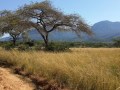 Mariepskop road