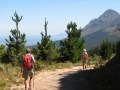 About us- Cape Winelands Walk,Cape Peninsula view