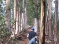 Walking Stellenbosch mountain, Cape Winelands Walk