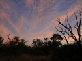 bushveld game walk,Bushveld sunset