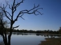 bushveld game walk,Bushveld dam