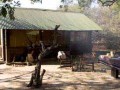 bushveld game walk, rock camp 3