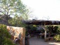 bushveld game walk, camp