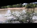 bushveld game walk, bushveld dam