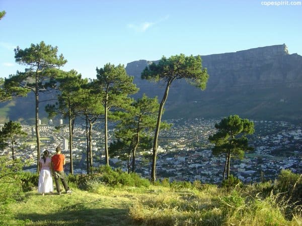 overlooking the city of cape-town from signal hill with table mountain in the background,cape town walk