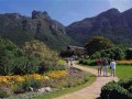 kirstenbosch