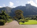 kirstenbosch-national-botanical-gardens-cape-town