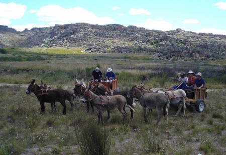cederberg, donkey cart ride