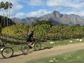 Cape-Winelands-Cycling-Franschhoek