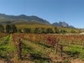 jonkershoek-autumn