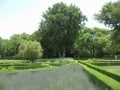 vergelegen-garden