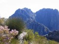 Jonkershoek Nature Reserve,