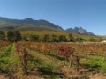 jonkershoek-autumn
