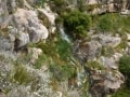 swartboskloof