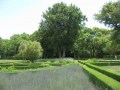 vergelegen-garden
