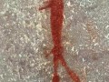 Truitjieskraal-rock-painting