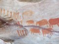 stadsaal caves