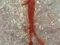 Truitjieskraal-rock-painting