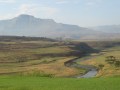 IMG_1253
