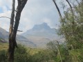 IMG_1268