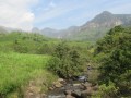 IMG_1277
