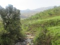 IMG_1278