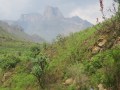 IMG_1286