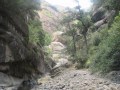 IMG_1337