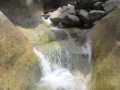 IMG_1351