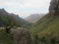 IMG_1374