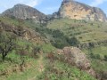 IMG_1444