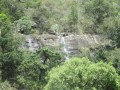 IMG_1455