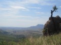 IMG_1466