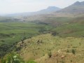 IMG_1473