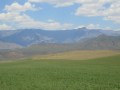 IMG_1622
