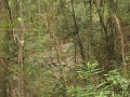 IMG_1740