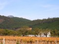 franschhoek-farm