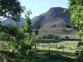 horses-and-mountains