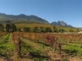 jonkershoek-autumn