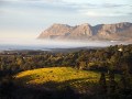vineyards-and-mountains-franschhoek