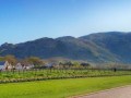 wine-bearer_landscape la motte
