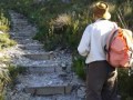 Elephant path, Hermanus Walk