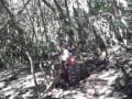 Boekenhoutbos,Fernkloof Nature Reserve, Hermanus Walk