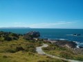 Hike the Cliff path,Hermanus Walk
