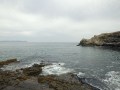 hermanus-rocky-coast