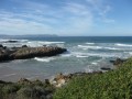 Hermanus Walk