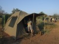 Kruger Wilderness trails 096