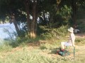Kruger Wilderness trails 133