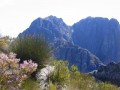 Reviews, walking and cycling  holidays in South Africa,Cape Winelands Walk,hiking Jonkershoek Nature Reserve,Fynbos,