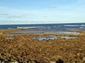 Shipwreck Cycling